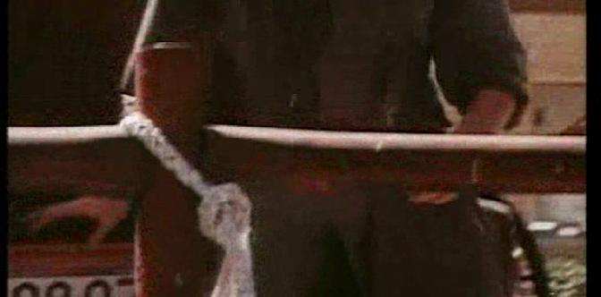 Смотреть Без ошейника