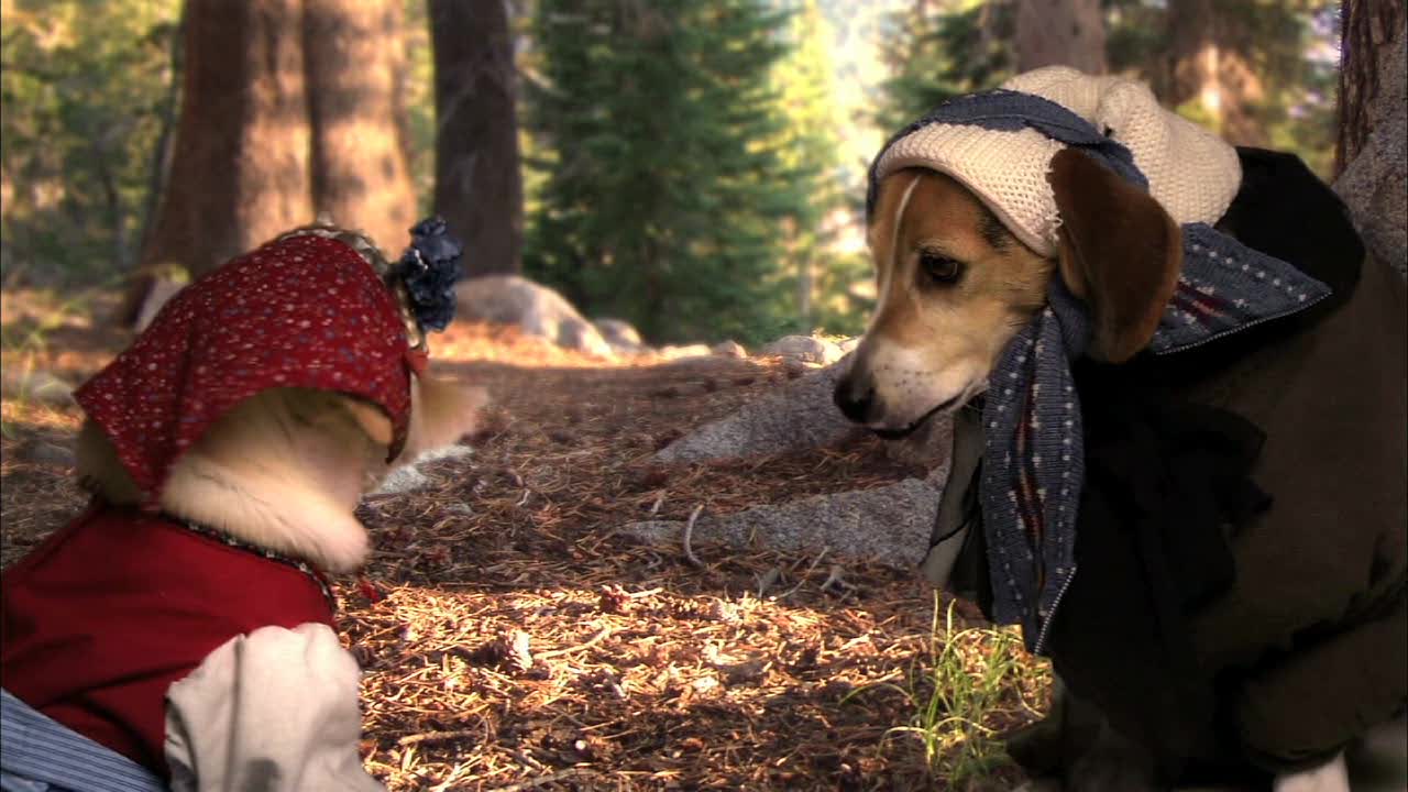 Хэйди. Путешествие в Альпы