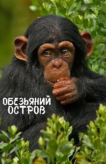 Смотреть Обезьяний остров