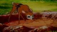 Симба: Король-лев (1995) Сезон-1 24 серия