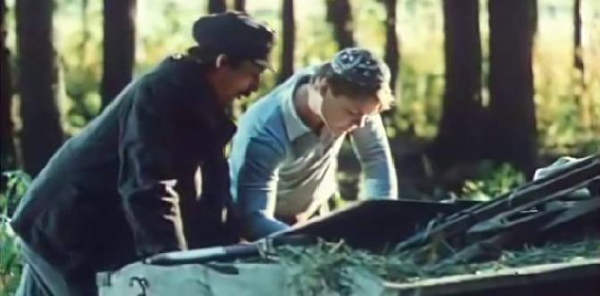 Смотреть Жил-был Шишлов (2 серия)