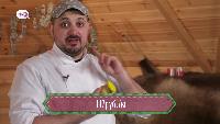 Борщ шоу Сезон-1 Серия 15