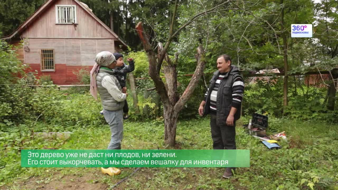 Дача 360 Дача 360 Выпуск 22