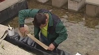 Дачные истории 1 сезон Дачный водопад