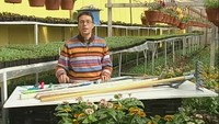 Дачные истории 1 сезон Посадка картофеля, огурцов и кабачков