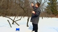 Дачные истории 1 сезон Приводим участок в порядок после зимы