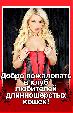 Добро пожаловать в клуб любителей длинношерстых кошек!