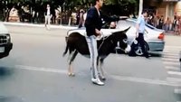 Дорожные войны 9 сезон 967 выпуск