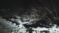 Дорожные войны 4 сезон 464 выпуск