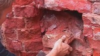 Хочу верить 3 сезон Орден Розенкрейцеров. Вечная молодость