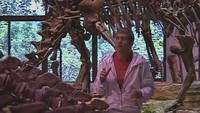 Хочу верить 4 сезон Драконы. А может, они динозавры? Часть 2