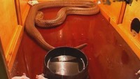 Хочу верить 4 сезон Опричнина. Тайна темных времен