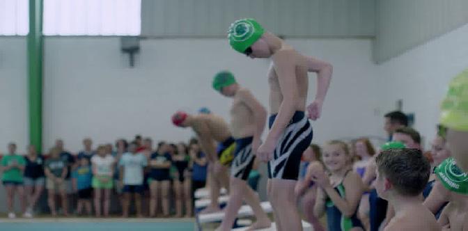 Смотреть Мой друг дельфин Эхо