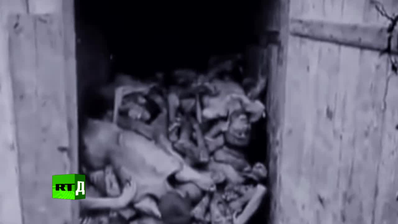 Смотреть Российско-китайский конкурс военных фильмов. Мифы о войне