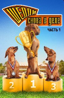 Смотреть Шелли снова в деле. Часть 1