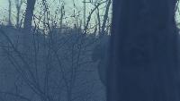 Тихий Дон Сезон-1 Серия 14