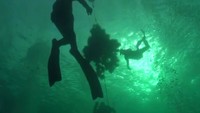Улетное видео по-русски! 4 сезон 452 выпуск