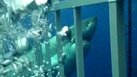 Улетное видео по-русски! 4 сезон 453 выпуск