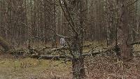Загадки космоса Сезон-1 Обратная сторона Вселенной