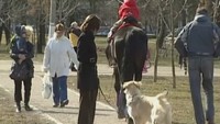 Живые истории 1 сезон 28 выпуск